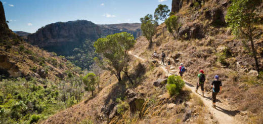 Wanderung im Isalo Nationalpark - Paul Sutton | erlebnisreisen-afrika.de