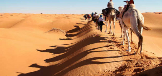 Kamelkarawane auf der Düne - Hartmut Bartelt | erlebnisreisen-afrika.de