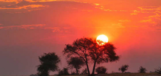 Sonnenuntergang im Chobe-NP - Lena Bohndorf | erlebnisreisen-afrika.de