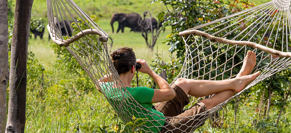 Tierbeobachtung im Camp