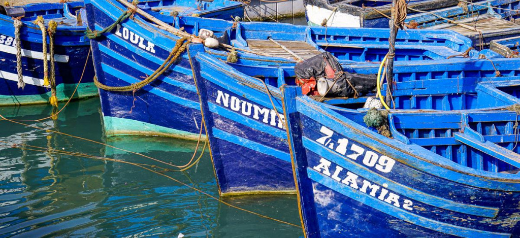 Fischerboote im Hafen von Essaouira