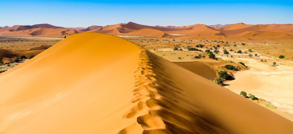 In den Dünen von Sossusvlei