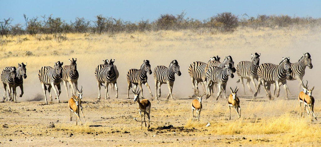 Studienreise Namibia 2021 / 2022 | Erlebnisreisen-Afrika.de