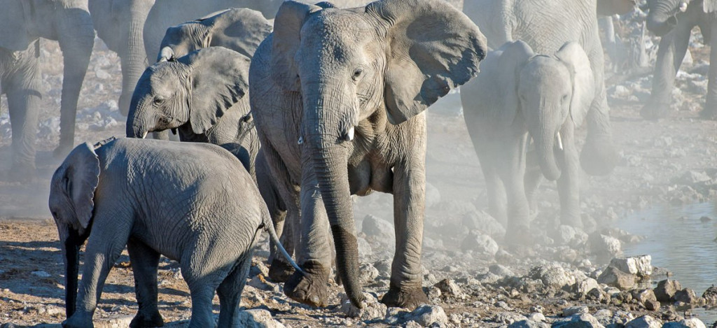 Studienreise Namibia 2021 / 2022 | Erlebnisreisen-Afrika.de