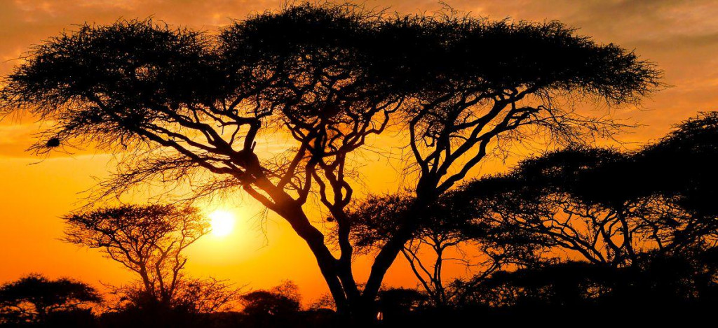 Kleingruppenreise  2021 / 2022 | Erlebnisreisen-Afrika.de