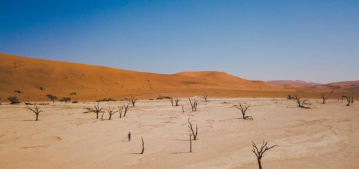 Namibia Gruppenreise 2022 | Erlebnisreisen-afrika.de