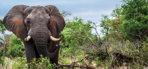 Namibia Gruppenreise 2022 | Erlebnisreisen-afrika.de