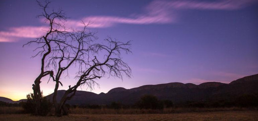 Südafrika Gruppenreise 2022 | Erlebnisreisen-afrika.de