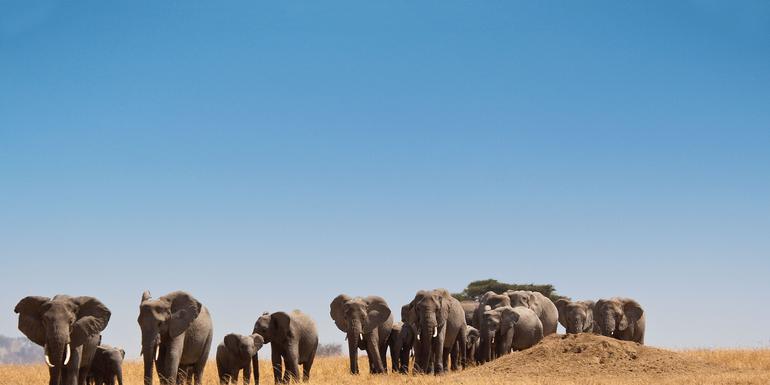 Kenia Erlebnisreise 2022 | Erlebnisreisen-afrika.de