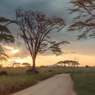 Kenia Gruppenreise 2022 | Erlebnisreisen-afrika.de