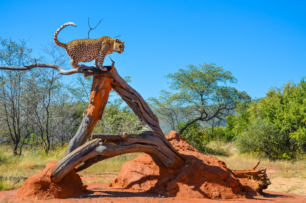 Gruppenreise Facetten Namibias 2022 | Erlebnisreisen-Afrika.de