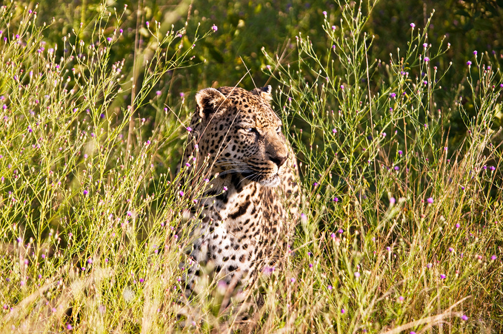 Gruppenreise Freie Wildnis und Traumstrände 2022 | Erlebnisreisen-Afrika.de