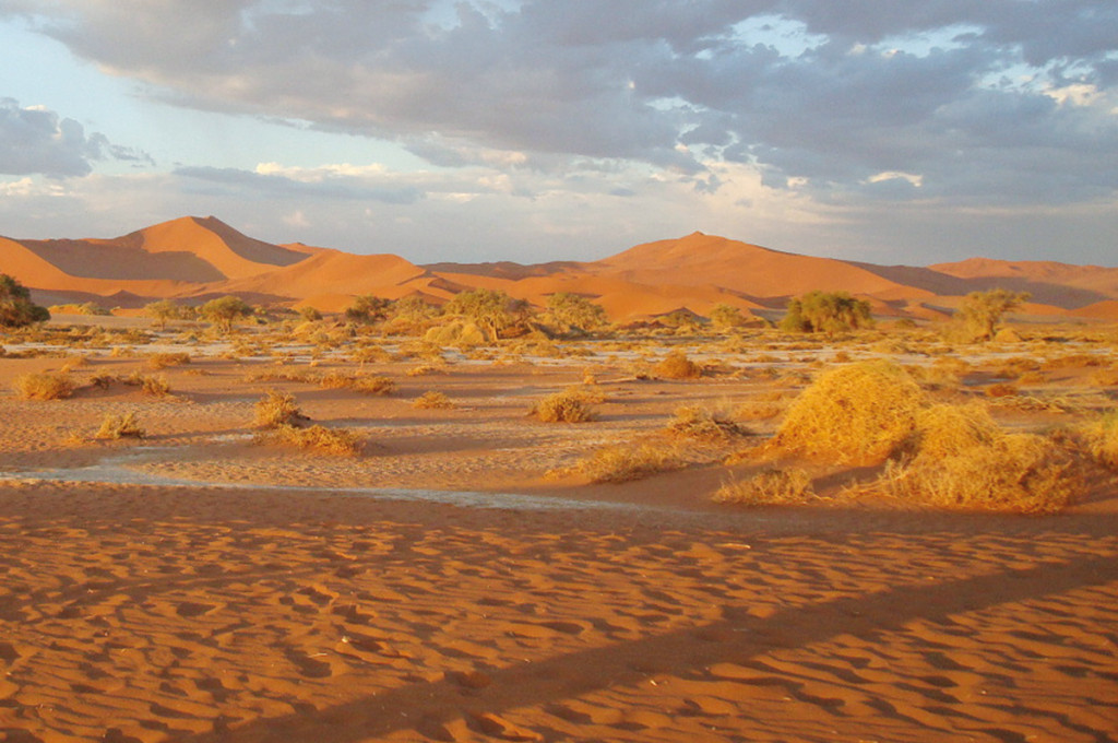 Rundreise Namibia - auf den Spuren der Wüstenelefanten 2022 | Erlebnisreisen-Afrika.de