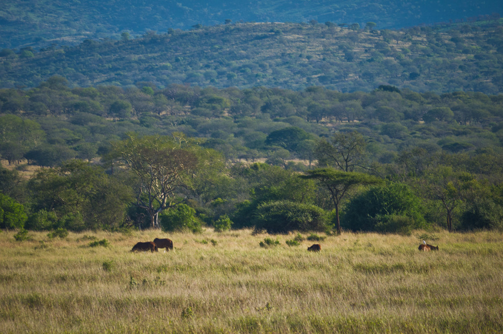 Gruppenreise Südafrika und Mauritius 2022 | Erlebnisreisen-Afrika.de