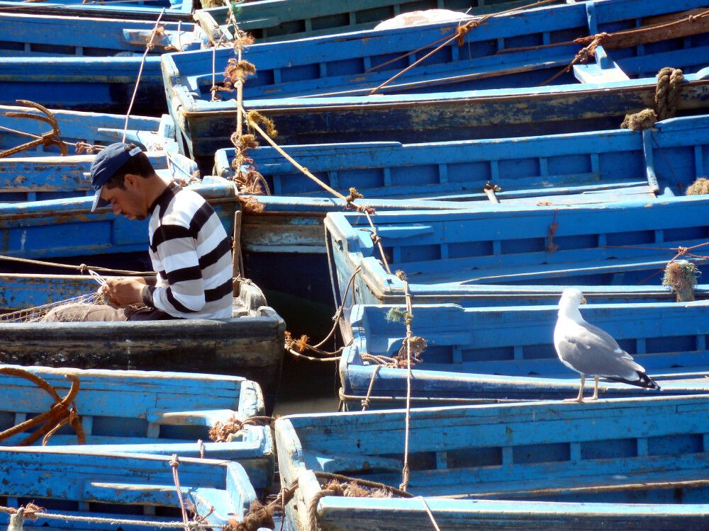 Fischerboote im Hafen von Essaouira