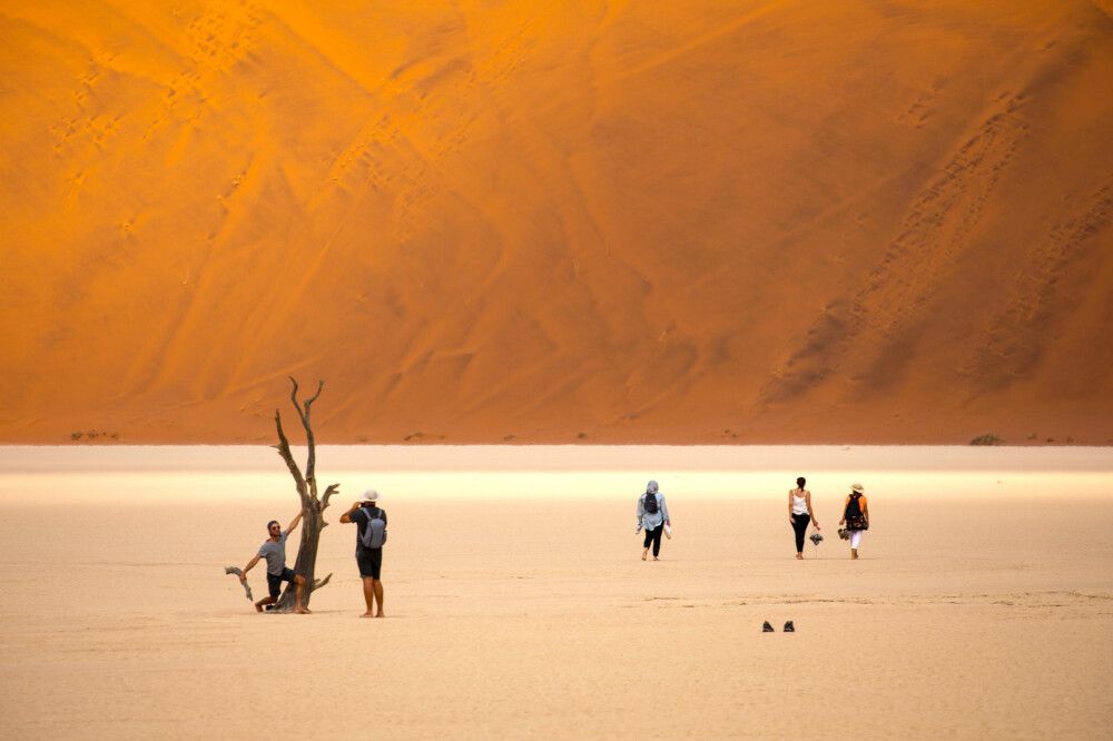 Deadvlei Impressionen