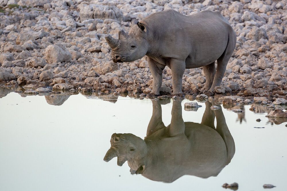 Etosha-Nationalpark