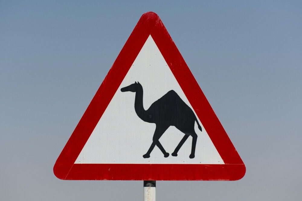 Achtung, Kamele kreuzen! Schild an der Schotterstraße in die Rub al-Khali