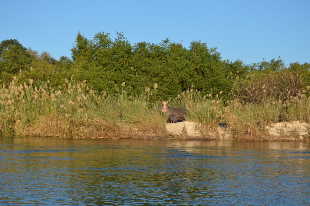 Studienreise Namibias ursprünglicher Norden zwischen Kunene und Kavango 2022 / 2023 | erlebnisreisen-afrika.de
