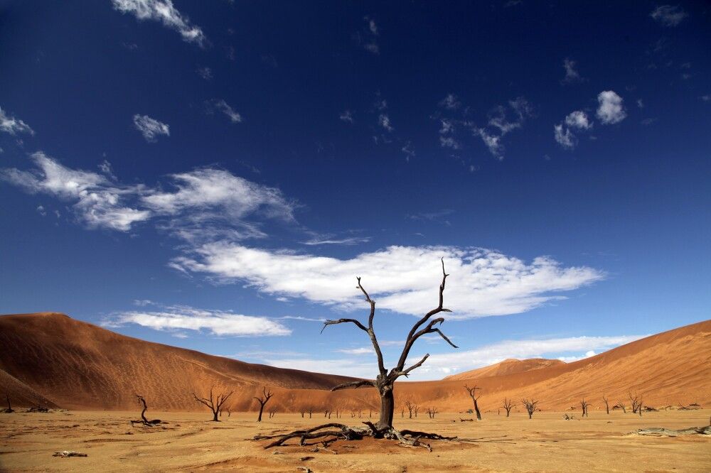 Im Deadvlei