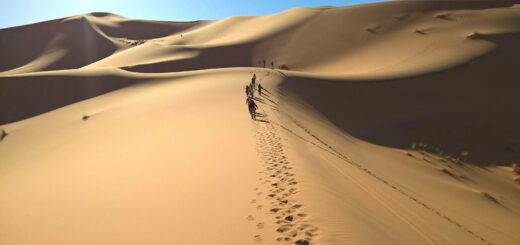 Hoch hinaus in der Erg Chebbi Wüste - Anja Riemann | erlebnisreisen-afrika.de