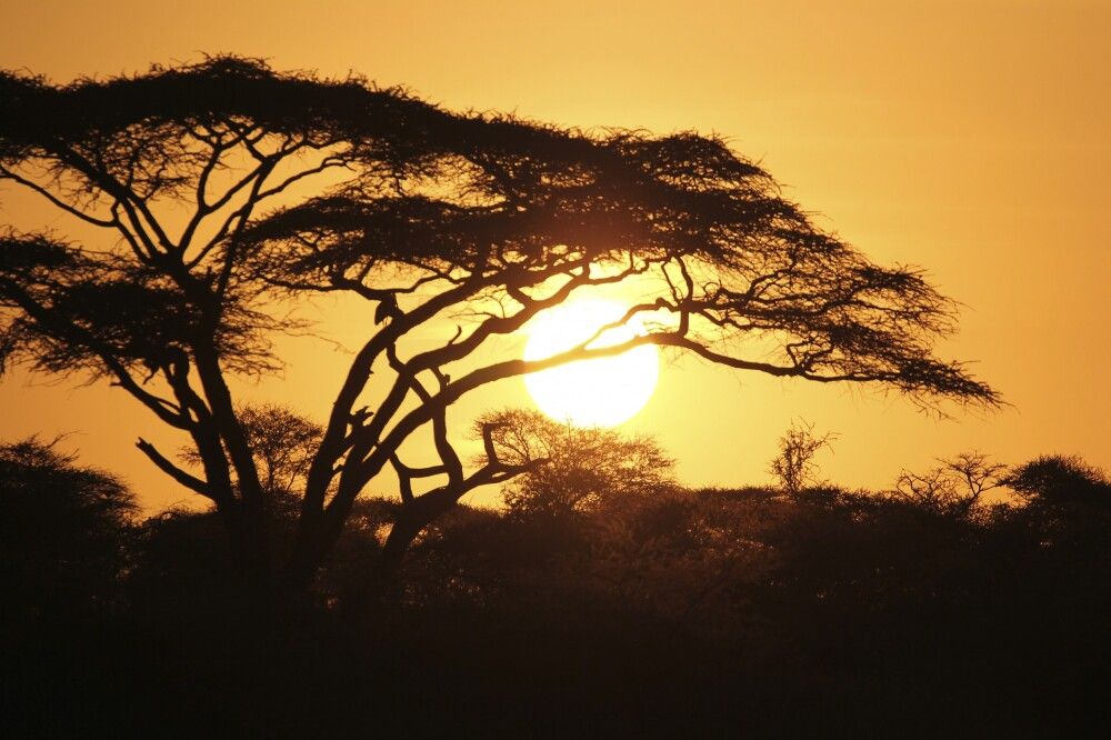 Sonnenuntergang in der Serengeti