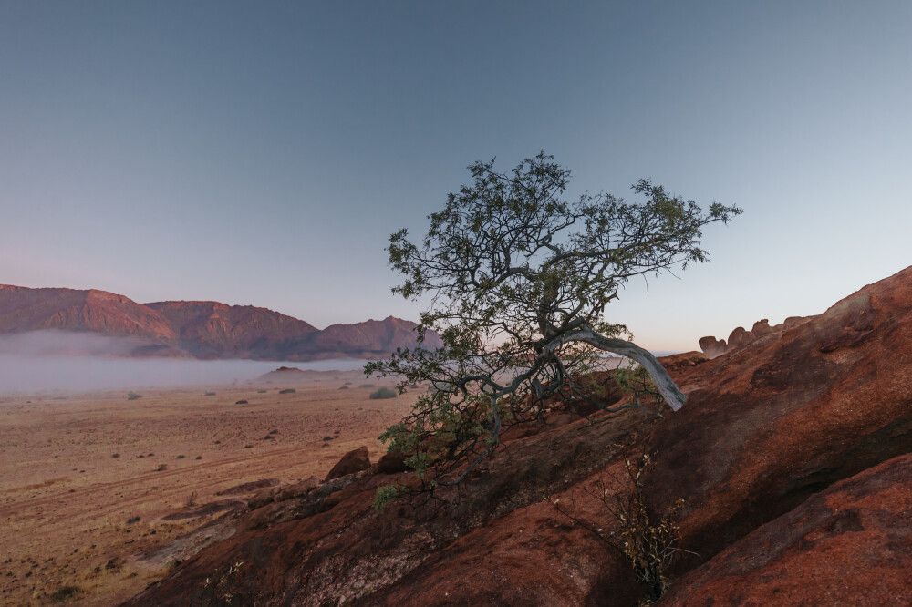 Aussicht auf den Brandberg
