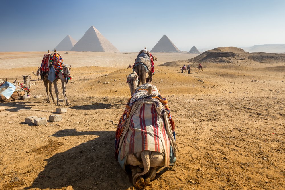 Kamelkarawane vor den Pyramiden von Gizeh