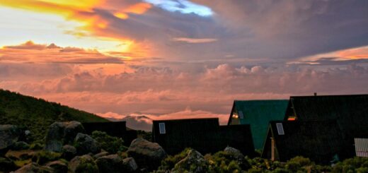 Morgenstimmung an den Horombohuetten Kilimanjaro 2022 | Erlebnisrundreisen.de