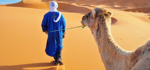 Rundreise Marokko: Entspannt erleben 2020 | Erlebnisreisen-Afrika.de