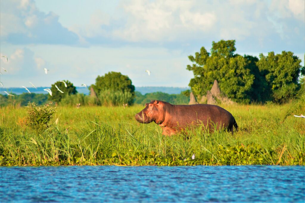 Erlebnis, Abenteuer & Begegnung Malawi | Erlebnisreisen-Afrika.de