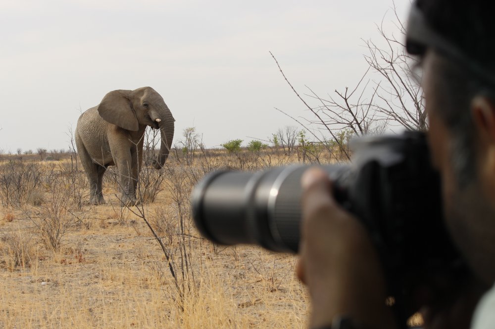 Namibia - Elefanten