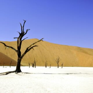 Dead Vlei Namibia 2022 | Erlebnisrundreisen.de