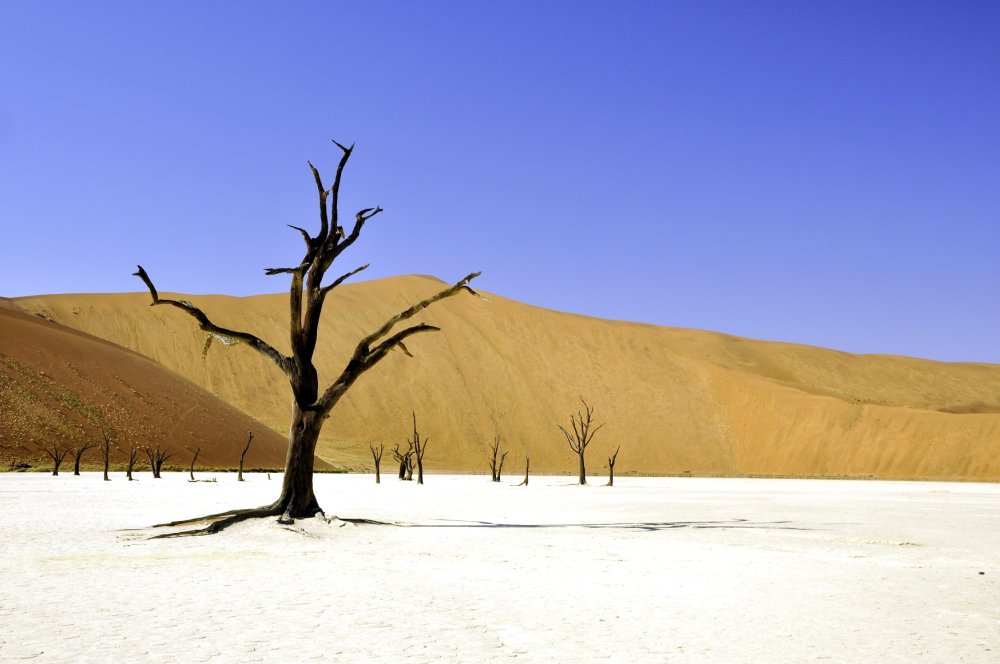 Dead Vlei Namibia