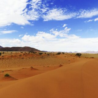 Farbenprächtige Namib Wüste 2022 | Erlebnisrundreisen.de