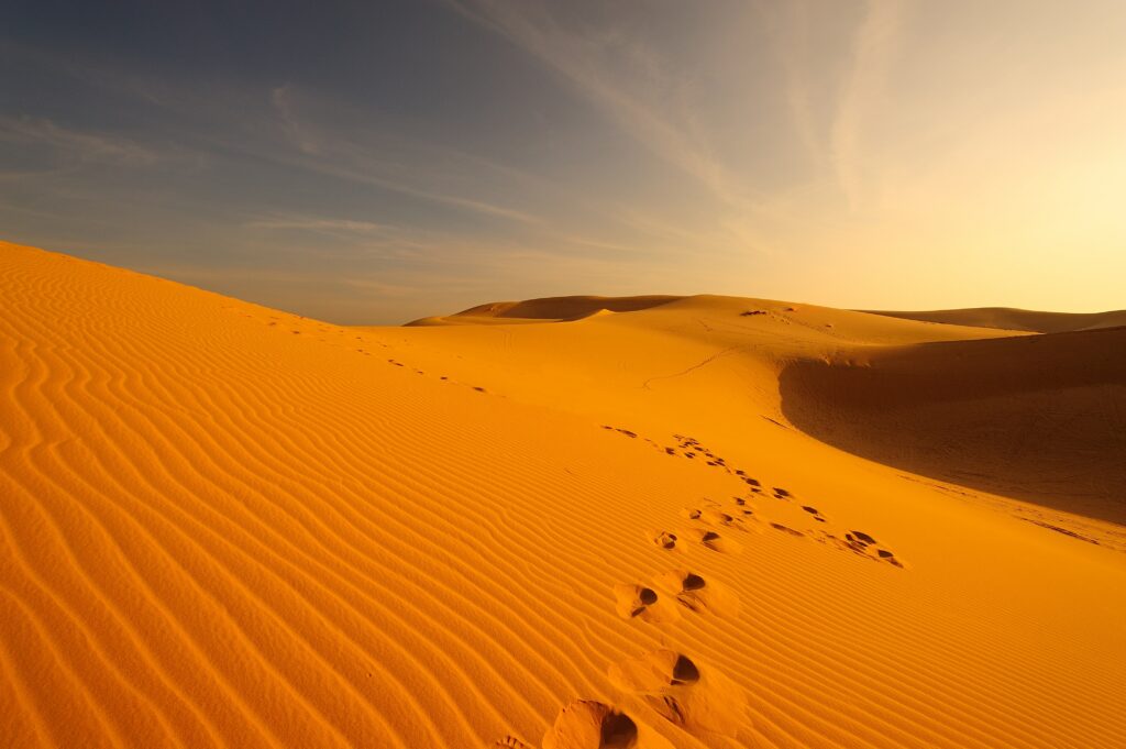 Rundreise Oman: Impressionen 2022 | Erlebnisreisen-Afrika.de