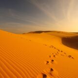 Rundreise Oman: Impressionen 2020 | Erlebnisreisen-Afrika.de