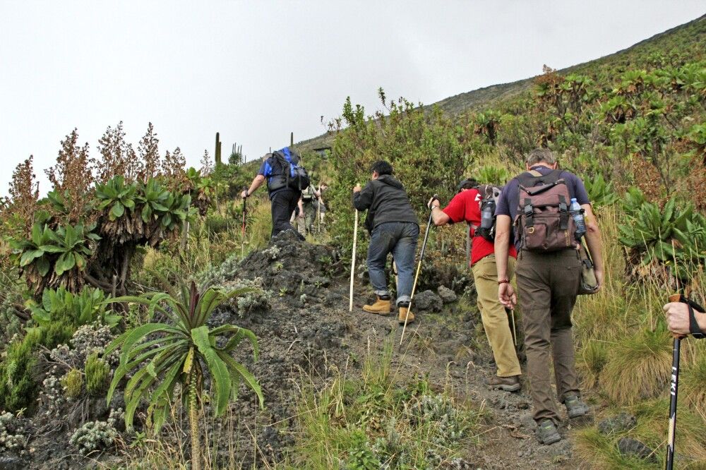 Trekking in der Demokratischen Republik Kongo