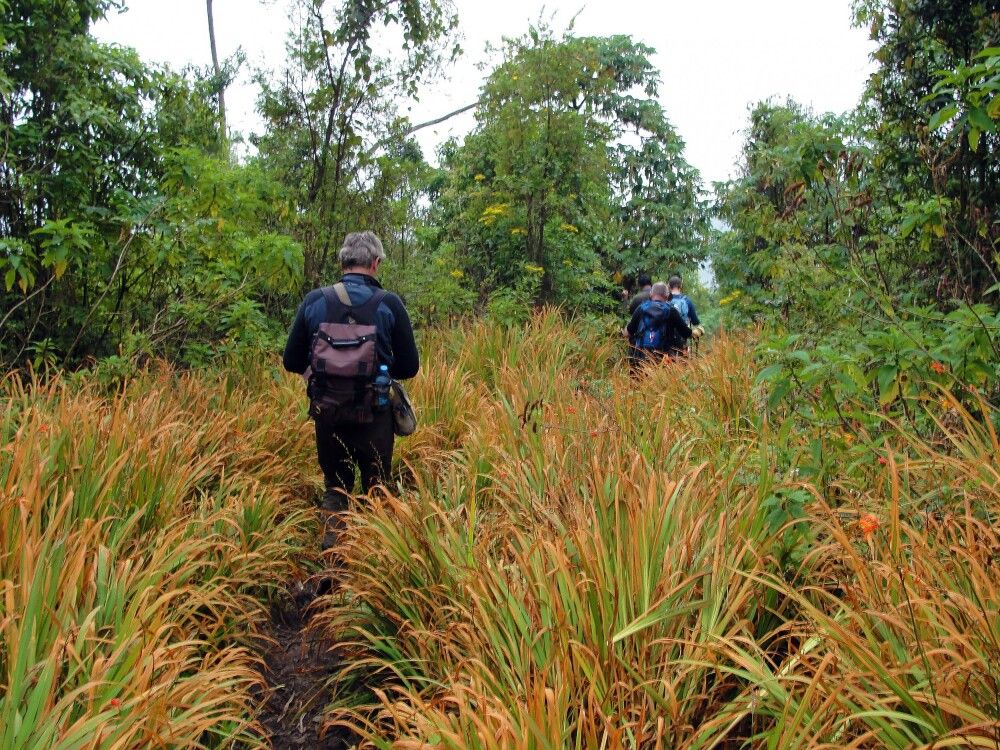 Auf dem Weg zum Nyiragongo Vulkan
