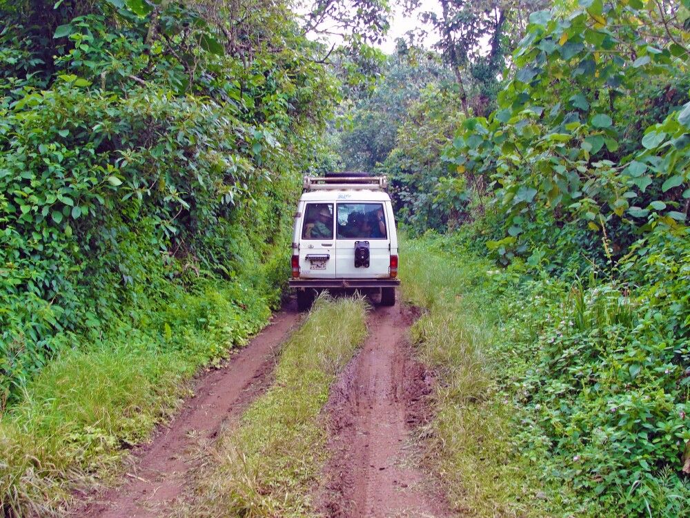 Unterwegs im Kahuzi Biega National Park