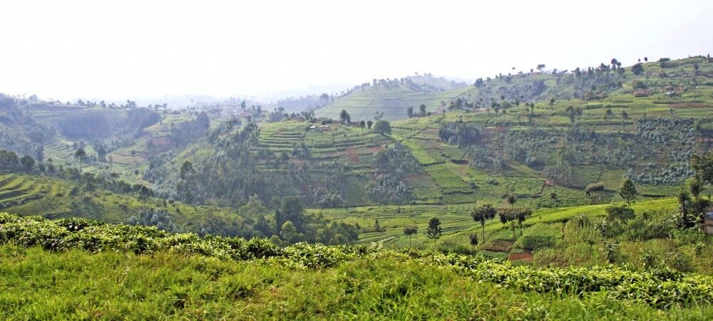 Berge im Kongo