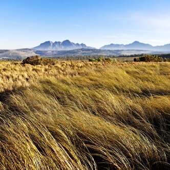 Suedafrika-Rundreise-2019-4