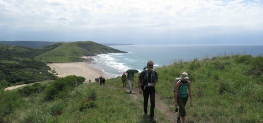 Südafrika-wildcoast-walk-Küste 2022 | Erlebnisrundreisen.de