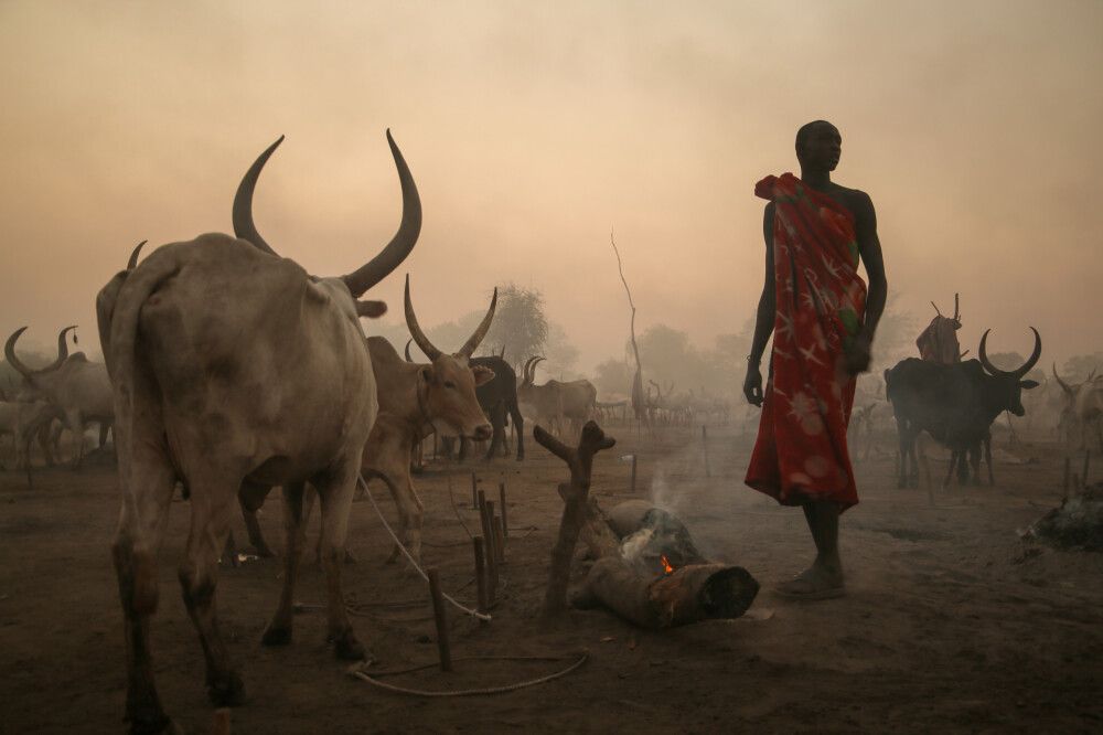 Abendstimmung im Mundari-Weidelager