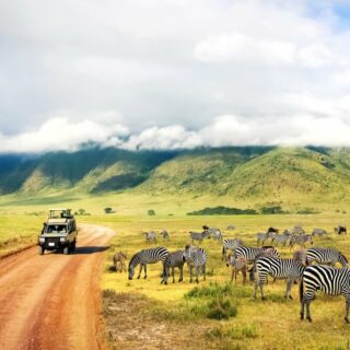 Safari Ngorongoro Krater National Park in Tansania 2022 | Erlebnisrundreisen.de