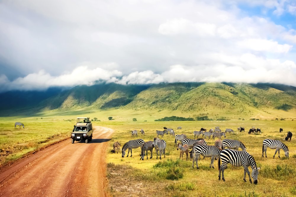 Safari Ngorongoro Krater National Park in Tansania