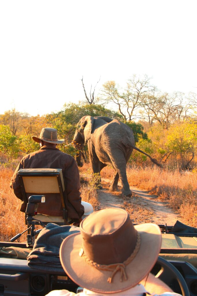 Naturkundliche Reisen Südafrika | Erlebnisreisen-Afrika.de