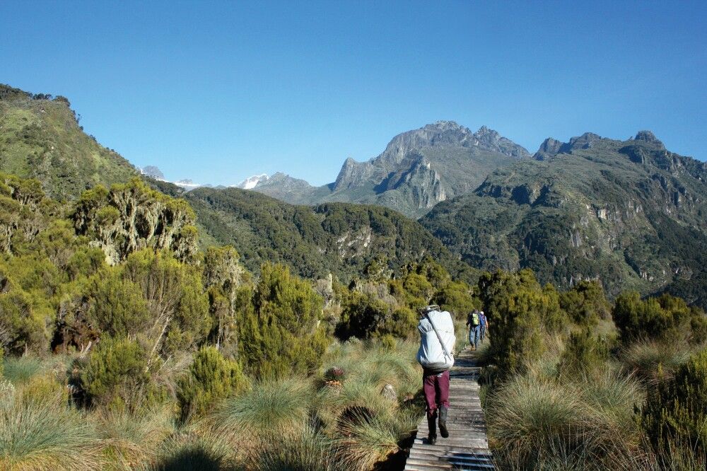 Marsch in die Ruwenzori Berge