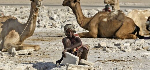 Salzstemmer in der Danakil-Wüste Reise Salzstemmer in der Danakil-Wüste 2022/2023