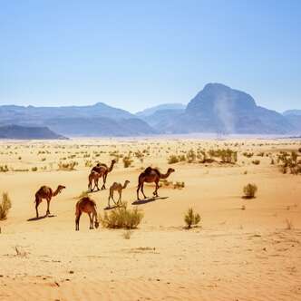 Jordanien – Israel deutschsprachig gefuehrte Studienreisen 2020